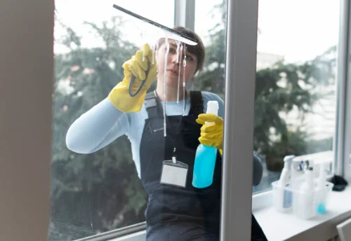Nettoyage de vitres intérieures et extérieures à Fontaine-Bellenger